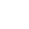 pineapple-icon pineapple-icon